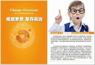 點(diǎn)亮未來，啟迪夢想——橙至教育咨詢圖冊引領(lǐng)教育新航向